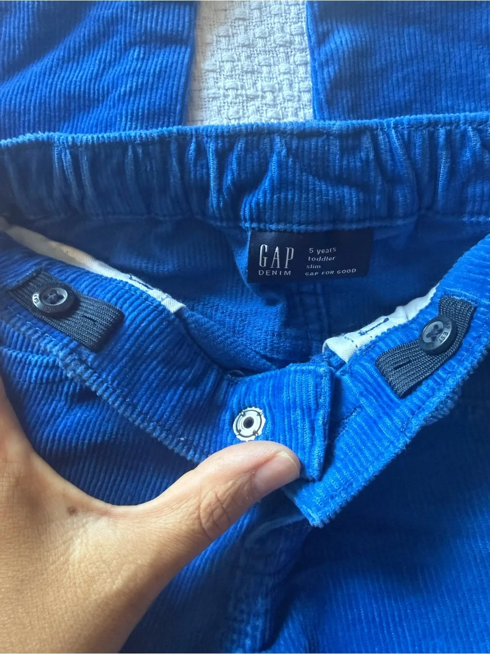 GAP Slim Corduroy Pants in Royal Blue